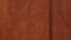 Ana Gabriela Guevara, en el ojo del huracán.