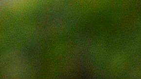 El jugador de los Rayados de Monterrey Jesús Gallardo.