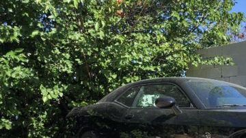 Es el Hellcat número "2" de Dodge