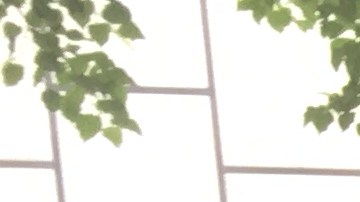 Decenas de coaliciones presionaron en las oficinas de la DMV en el condado de Suffolk por la aprobación del controvertido proyecto de ley.