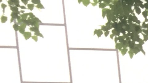 Decenas de coaliciones presionaron en las oficinas de la DMV en el condado de Suffolk por la aprobación del controvertido proyecto de ley.