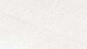 El acto se celebró en el Museo Wyckoff House de Brooklyn.