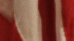 La Uniformada presentó un plan de contrainteligencia para evitar actos de violencia durante el mes del Orgullo Gay