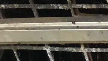 El comprador encontró a "James" en el asiento del pasajero