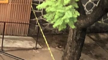 El cuerpo fue encontrado en las calles de la Ciudad de México.