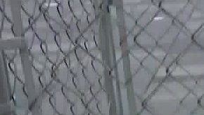 Una de las 18 jaulas colocadas en Brooklyn y Manhattan