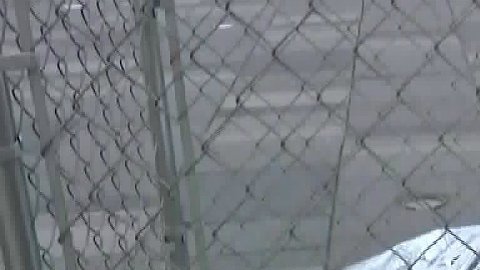 Una de las 18 jaulas colocadas en Brooklyn y Manhattan