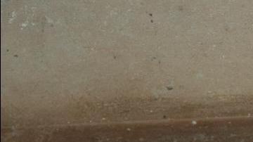 La cobra pudo escapar de un apartamento.