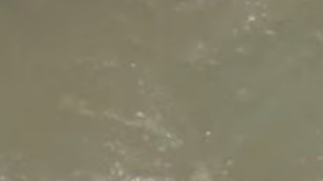 El cuerpo del mago fue recuperado.