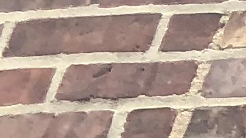 Luis Manny Roman, jefe de cocina de City Beets Kitchen, uno de los primeros alumnos del programa del Programa de Servicios de Comidas de Project Renewal./A. B. N.