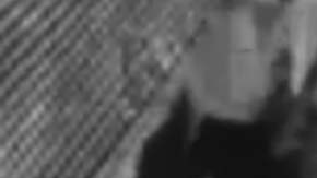 El hecho se reportó en la alcaldía Cuauhtémoc, Ciudad de México.