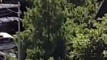 NYPD inspecciona la escena de muerte de su miembro Mike Caddy