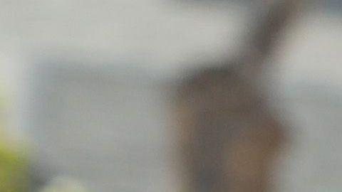 A pesar de su fama, Nipsey Hussle siempre se mostró orgulloso de sus orígenes modestos y callejeros en el sur de Los Ángeles, una zona conocida por la pobreza y la criminalidad.