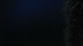 optometrist-91751_1280