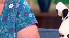 El increíble caso de Tom Peters, que al salir del trabajo vive dálmata.