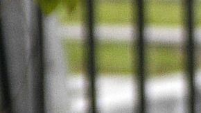 Los hechos ocurrieron el pasado 9 de abril, cuando la mujer fue hallada muerta en el patio trasero de su casa.