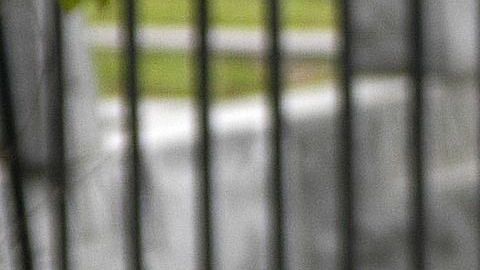 Los hechos ocurrieron el pasado 9 de abril, cuando la mujer fue hallada muerta en el patio trasero de su casa.