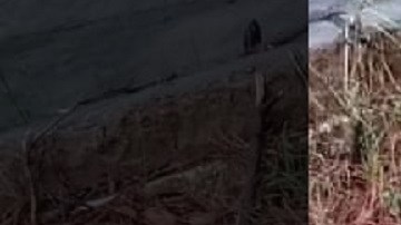 El agente solo fue identificado como "Pascual".