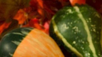 pumpkin-pie-520655_1280