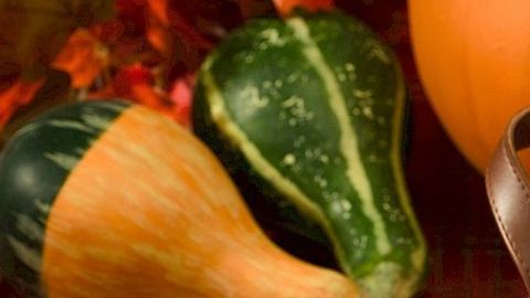 pumpkin-pie-520655_1280