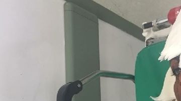 Joao Maleck está recluido en el Penal de Puente Grande, en Jalisco