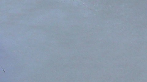 La Patrulla fronteriza alerta sobre la alta peligrosidad de cruzar por la zona del río.