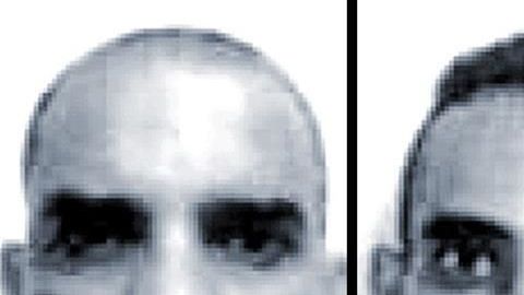 Reportan en Nicaragua a vincul_765092