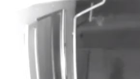 Es una criatura de baja estatura y orejas puntiagudas.