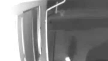 Es una criatura de baja estatura y orejas puntiagudas.