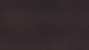 shutterstock_1108182914