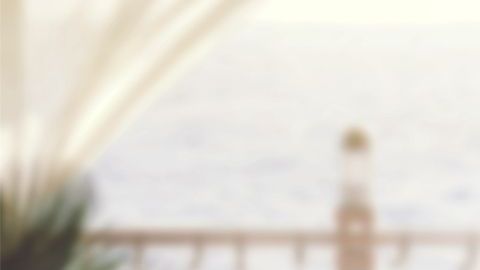 shutterstock_1162129096