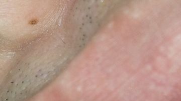 shutterstock_1202482423