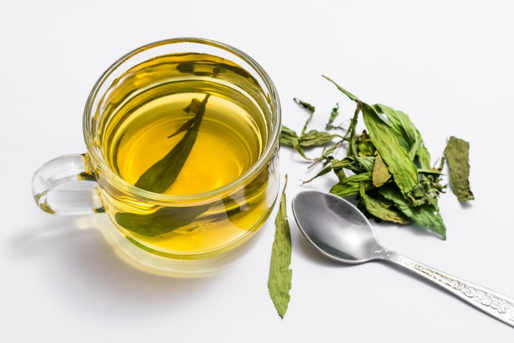 4 beneficios de beber té de laurel por las mañanas El Diario NY