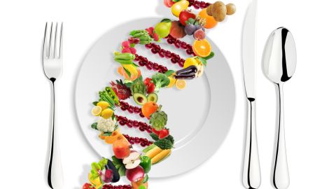 dieta adn