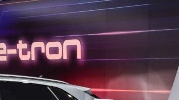 shutterstock_1300647499