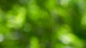 shutterstock_568568509