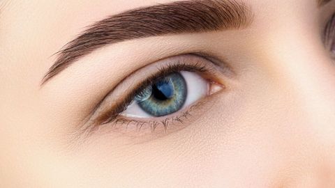 shutterstock_641399329