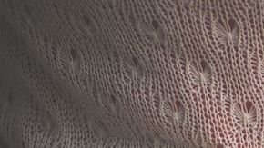 Entre los principales trastornos digestivos se encuentran el síndrome de intestino irritable.