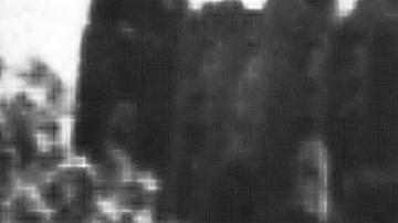 La revuelta de Stonewall dieron paso al movimiento por los derechos de la comunidad LGBT.