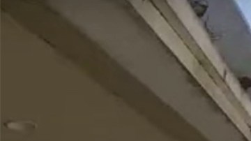 El padre al rescate.