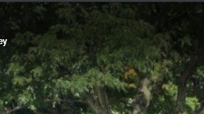 Tamaques Elementary School, en Westfield (NJ)