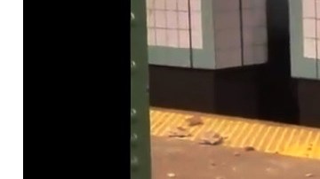 Los escombros en el suelo