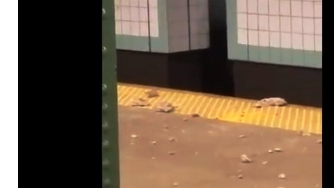 Los escombros en el suelo