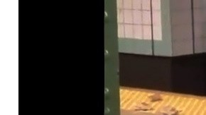 Los escombros en el suelo