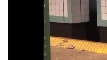 Los escombros en el suelo