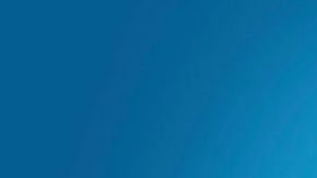 The princess and the frog