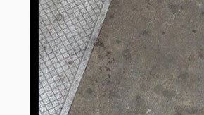 Tiburón en el andén de la línea F, en el Bajo Manhattan