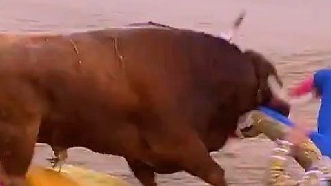 El colombiano Sebastián Ritter es cogido por el toro en la Plaza de Las Ventas de Madrid.