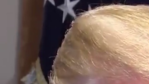 El presidente Trump niega haber atacado sexualmente a Jean Carroll.