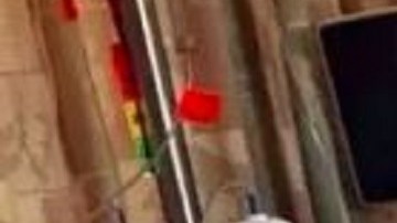 A Tu Le le queda poco tiempo de vida.